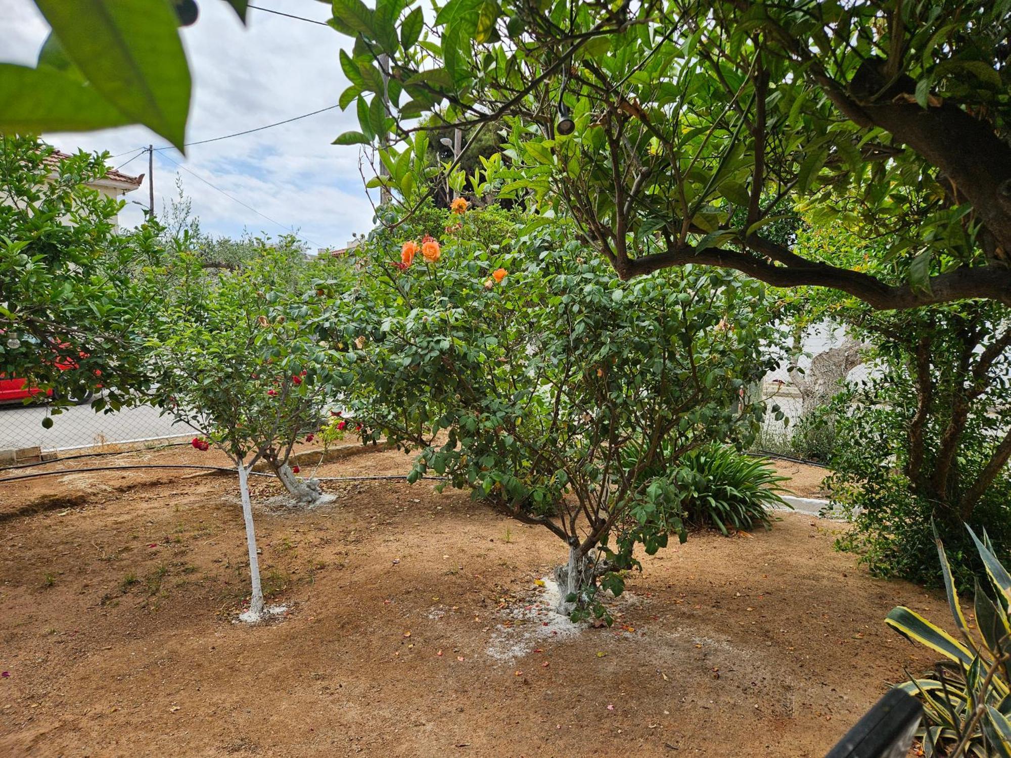 Melograno Apartment Markopoulo Mesogaias Luaran gambar