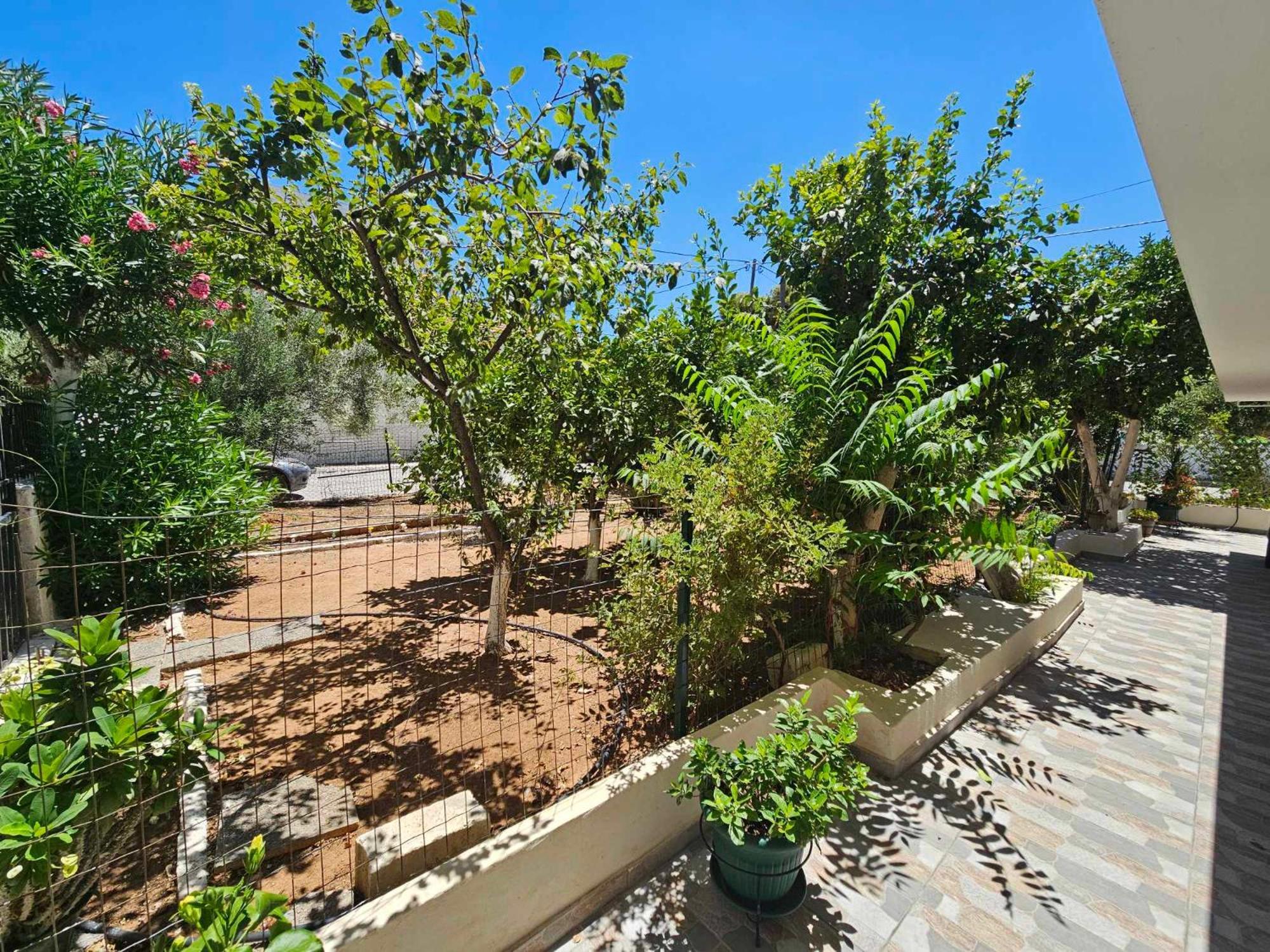 Melograno Apartment Markopoulo Mesogaias Luaran gambar