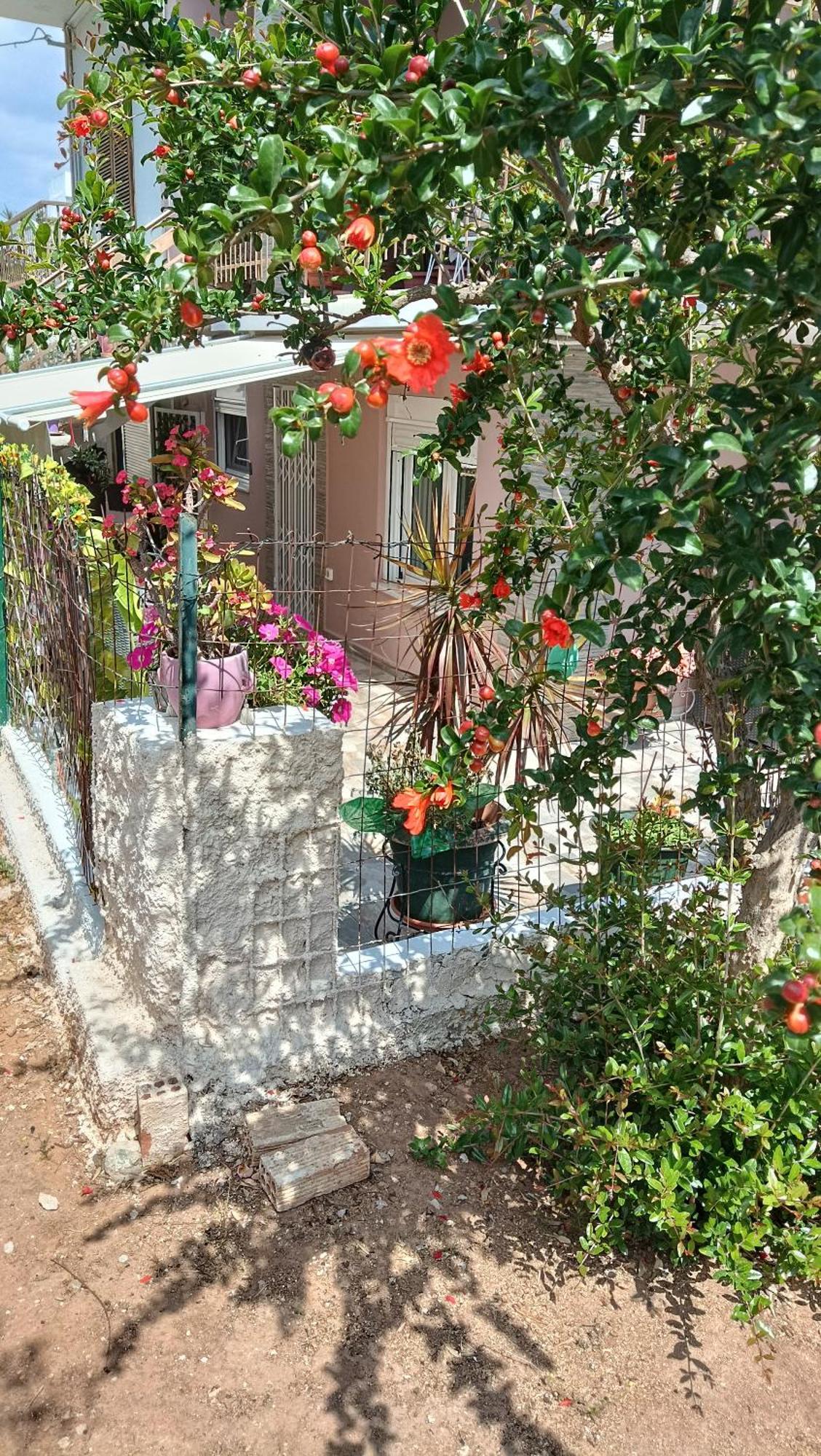 Melograno Apartment Markopoulo Mesogaias Luaran gambar