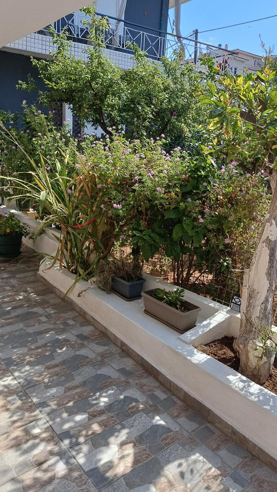 Melograno Apartment Markopoulo Mesogaias Luaran gambar