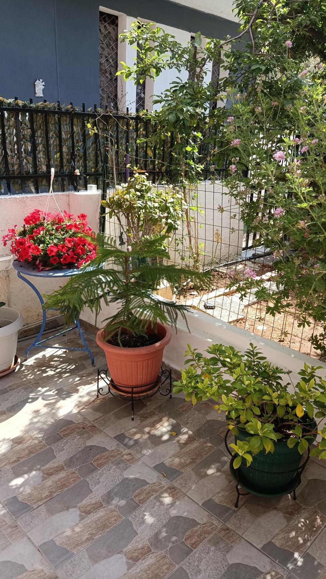 Melograno Apartment Markopoulo Mesogaias Luaran gambar