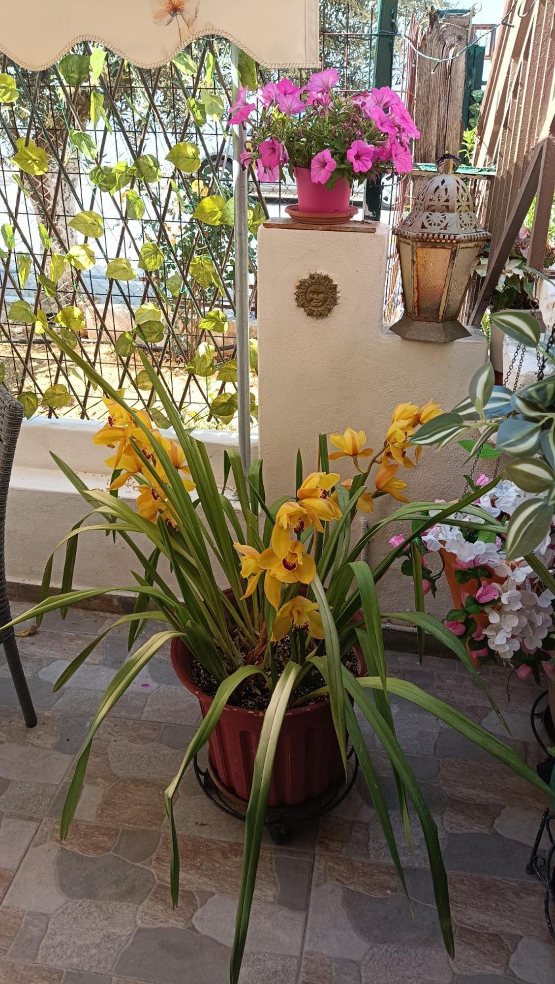 Melograno Apartment Markopoulo Mesogaias Luaran gambar